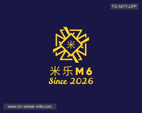 介绍米乐M6